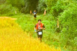 BIB: 
                            <button type="button" onclick="openModal(13456342)" class="btn btn-primary btn-sm float-right btn-popup" data-toggle="modal" data-target=".modal-high-quality">
                        <i class="fas fa-shopping-cart"></i> Add to Cart
                    </button>
                                            <button type="button" onclick="isThisMe(13456342, true)" class="btn btn-success btn-sm float-right btn-popup btn-isme hidden" data-toggle="tooltip" data-placement="bottom" title="นี่คือรูปของคุณใช่ไหม คลิกที่นี่เพื่อเอาเข้าอัลบั้ม">
                        <i class="fas fa-plus"></i> Add to album
                    </button>
                    <button type="button" onclick="isThisMe(13456342, false)" class="btn btn-warning btn-sm float-right btn-popup btn-isnotme hidden">
                        <i class="fas fa-ban"></i> Remove from album
                    </button>